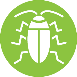 bug icon